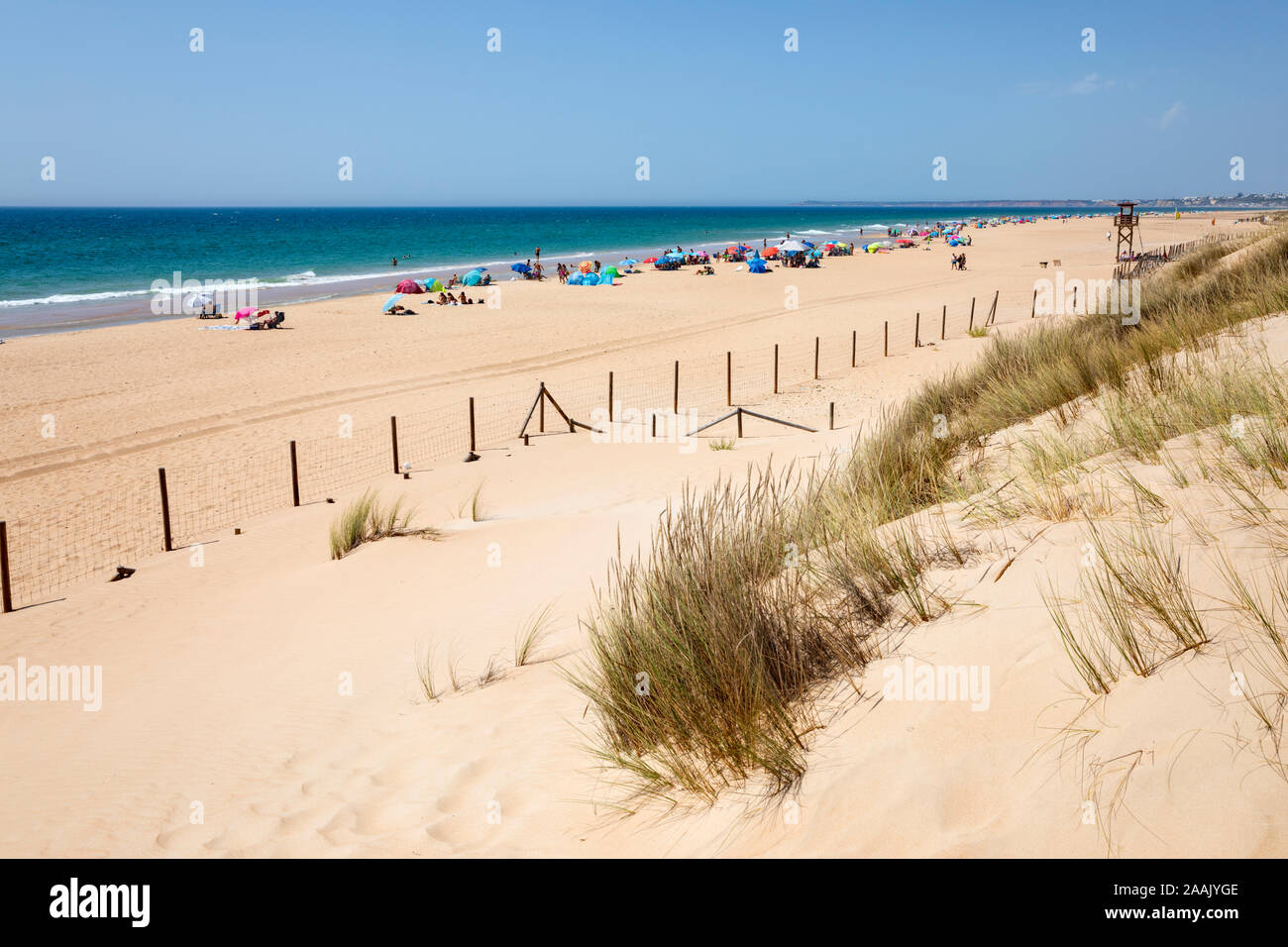 Le long de la plage de sable blanc sur un après-midi d'été, El Palmar de Vejer de la Frontera, province de Cadiz, Andalousie, Espagne, Europe Banque D'Images