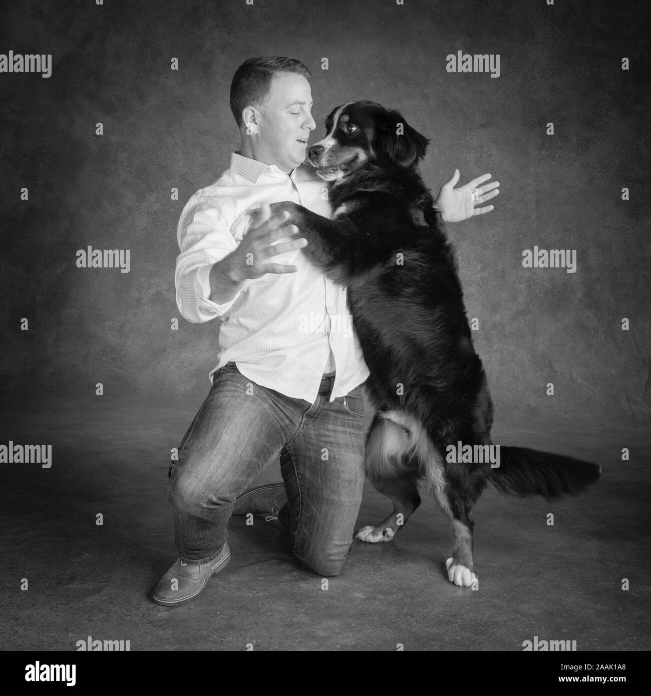 Portrait d'homme avec bernois Banque D'Images