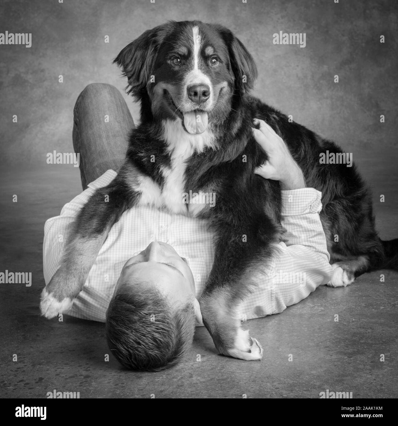 Portrait d'homme avec bernois Banque D'Images