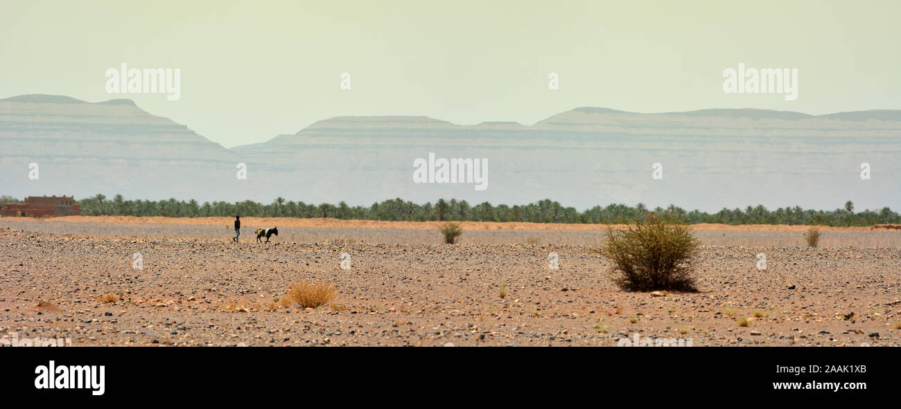 La hamada désert près de Ouarzazate. Maroc Banque D'Images