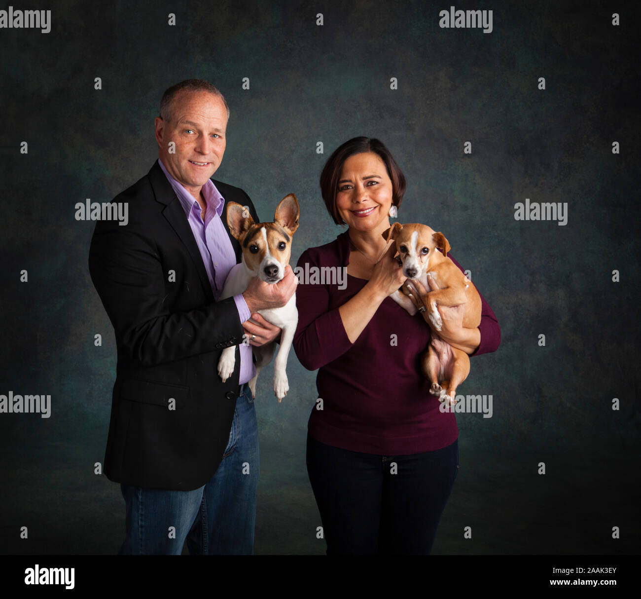 Studio portrait of smiling man and woman avec Jack Russell Terrier et Chihuahua Banque D'Images