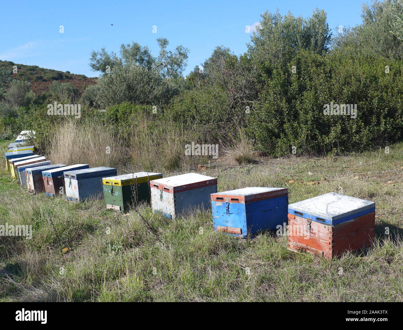 Ruches en Chalcidique, en Grèce Banque D'Images