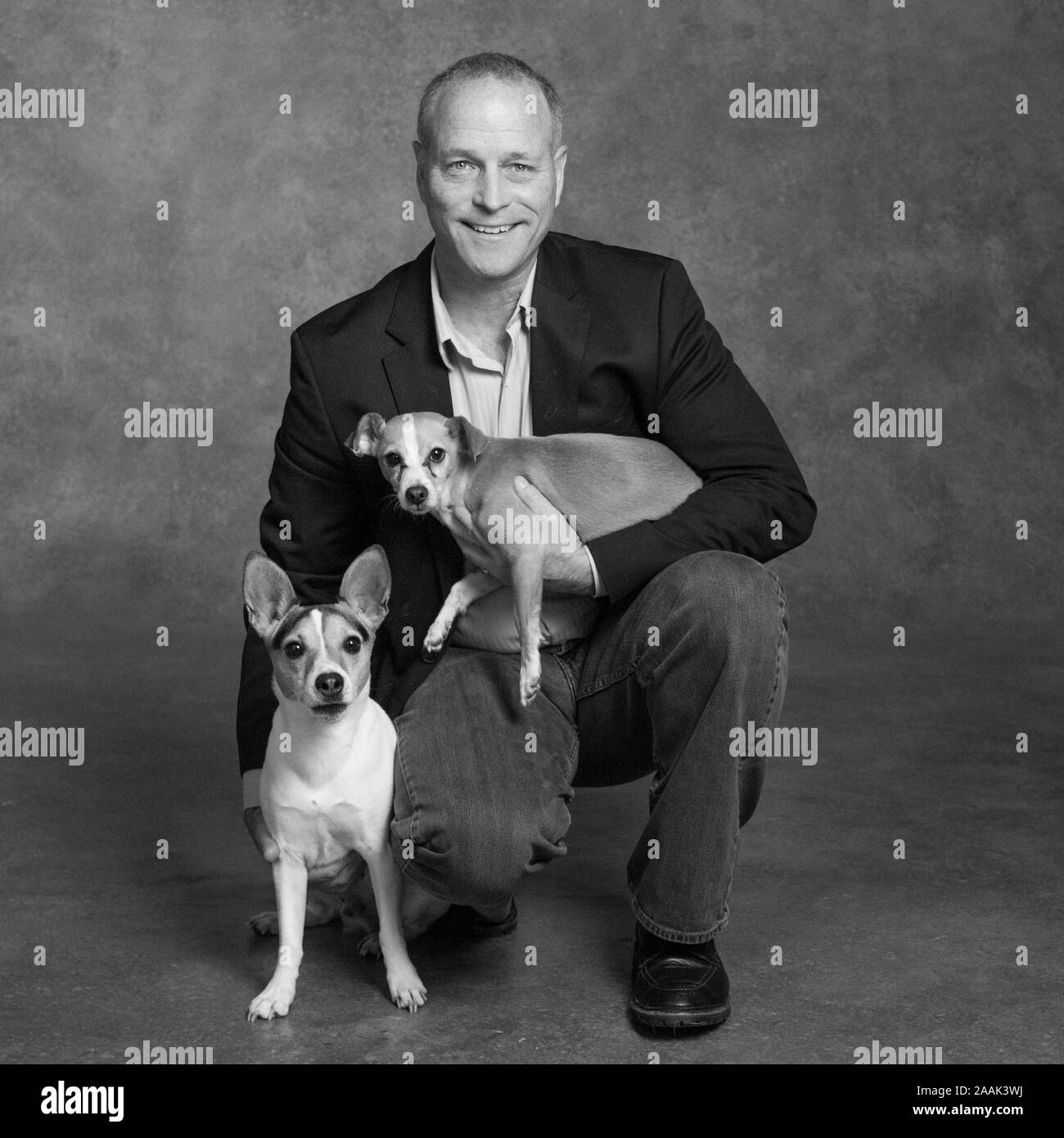 Studio portrait of smiling woman with Jack Russell Terrier et Chihuahua Banque D'Images