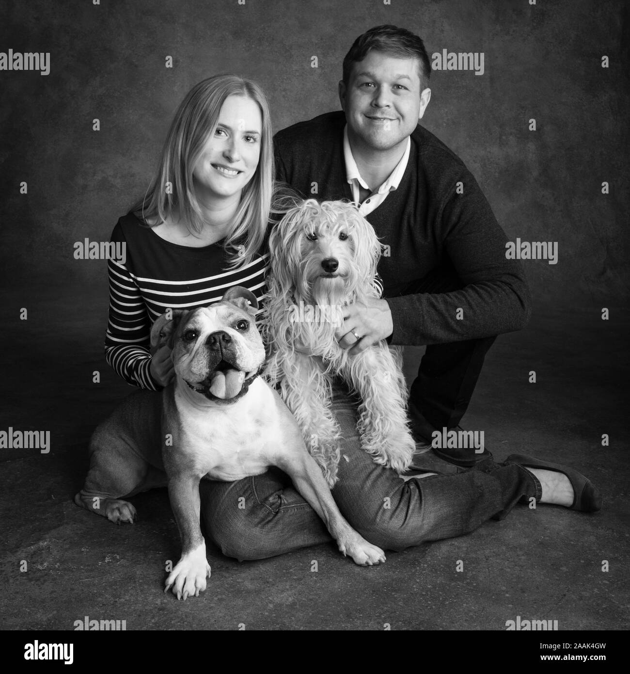 Studio portrait de couple avec Bulldog Anglais et Mini Golden Doodle Banque D'Images