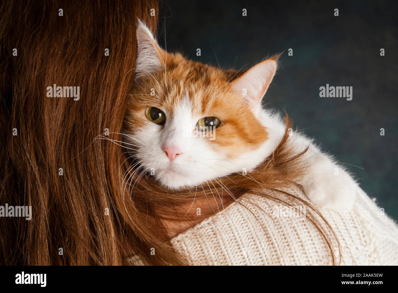 Close-up of white et le gingembre cat sur l'épaule de femme Banque D'Images