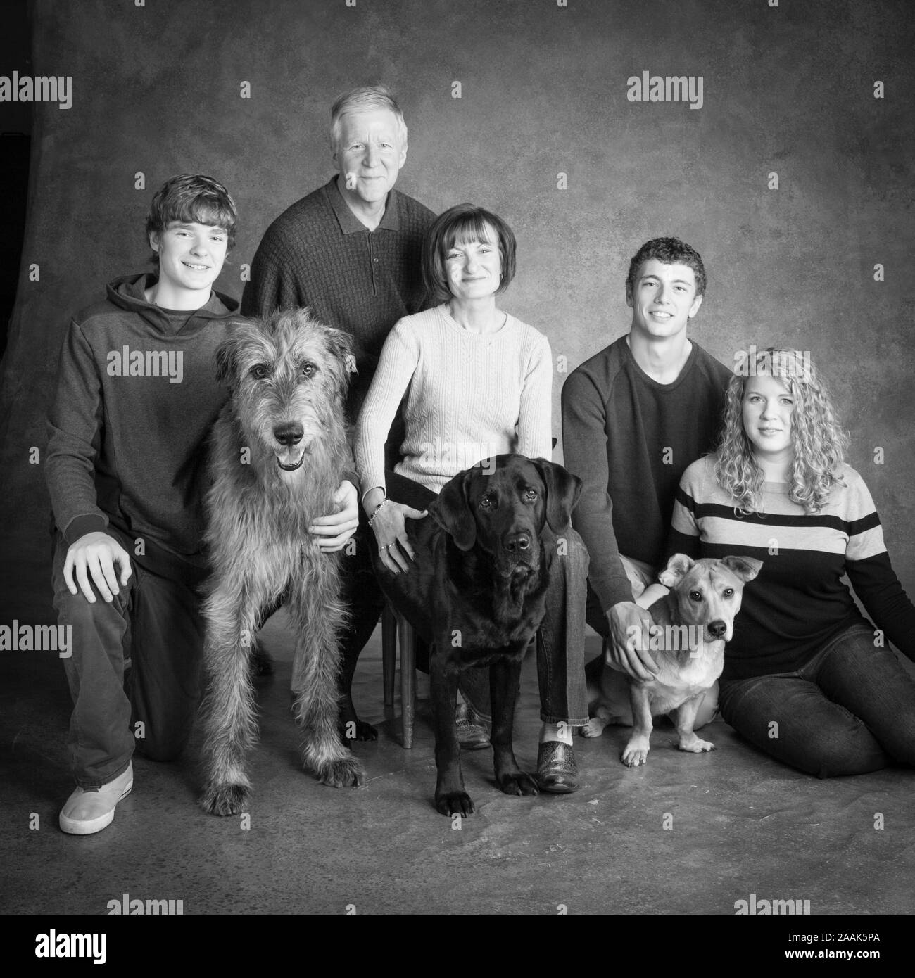 Studio portrait de famille avec trois chiens Banque D'Images