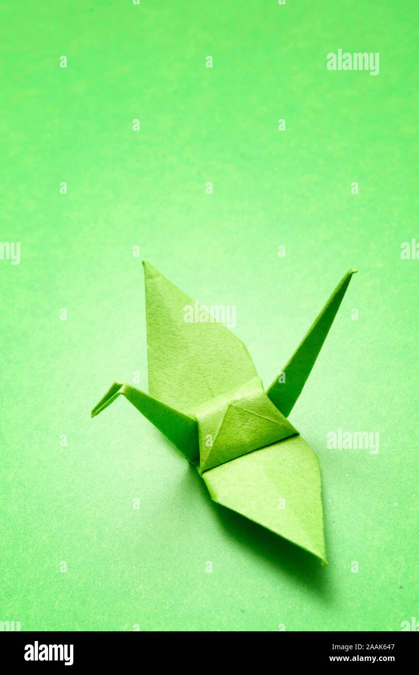 Oiseau origami vert sur fond vert Banque D'Images