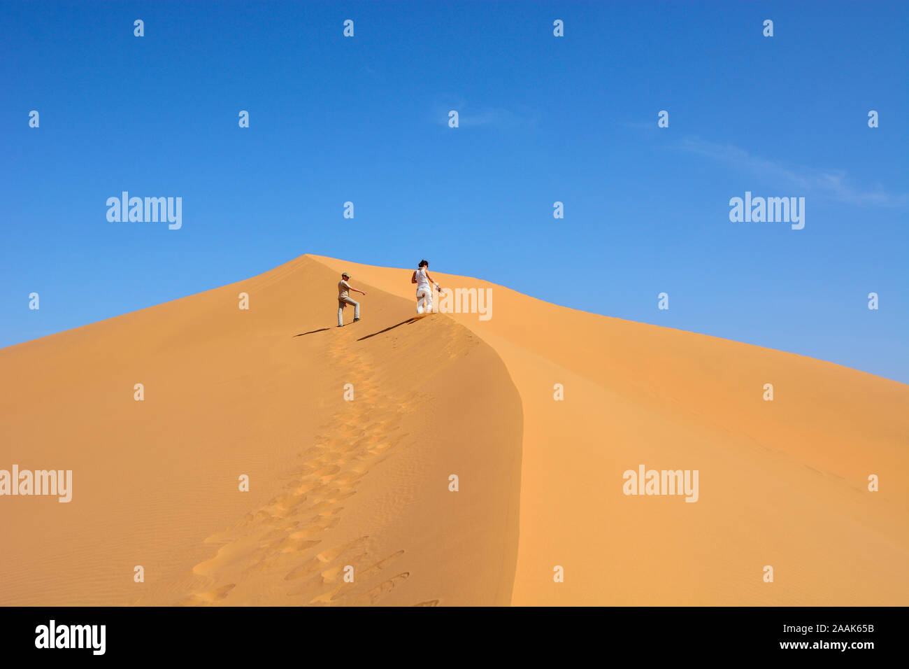 Les dunes de sable de l'Erg Lehoudi, désert du Sahara. Maroc Banque D'Images