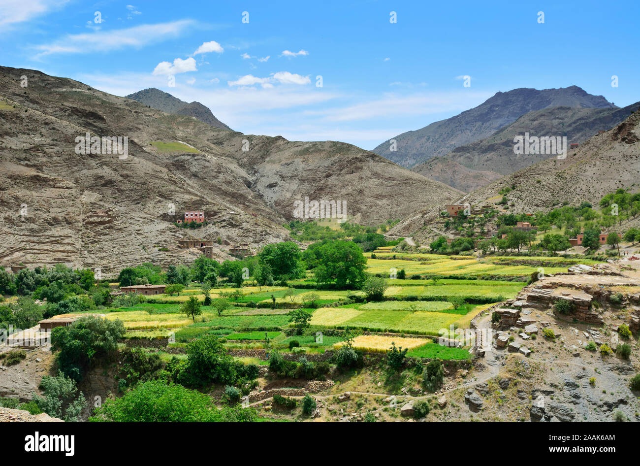 Un petit village par le champs en terrasses, dans le Haut Atlas. Maroc Banque D'Images