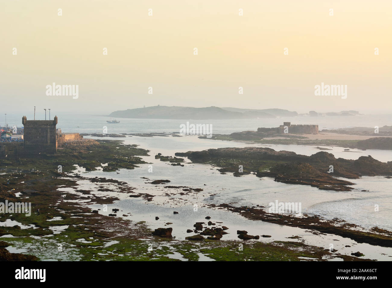 Les îles de Mogador, l'ancienne Iles Purpuraires en face de Essaouira, où les Romains et les Phéniciens ont traité les murex et coquilles trouvées dans le purpura Banque D'Images