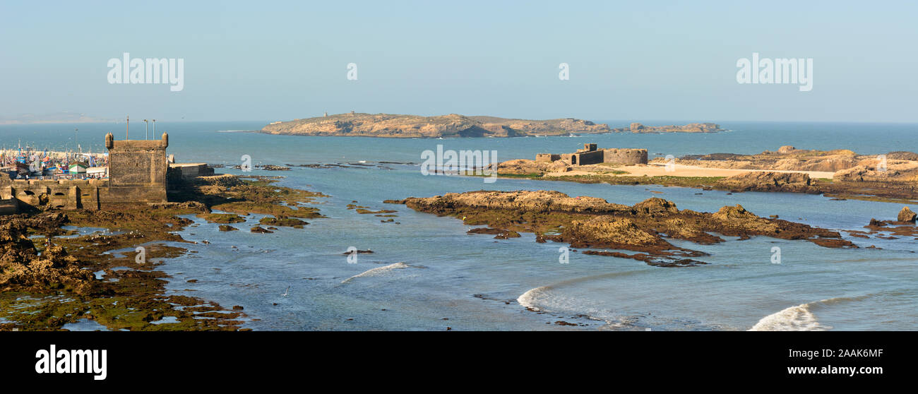 Les îles de Mogador, l'ancienne Iles Purpuraires en face de Essaouira, où les Romains et les Phéniciens ont traité les murex et coquilles trouvées dans le purpura Banque D'Images