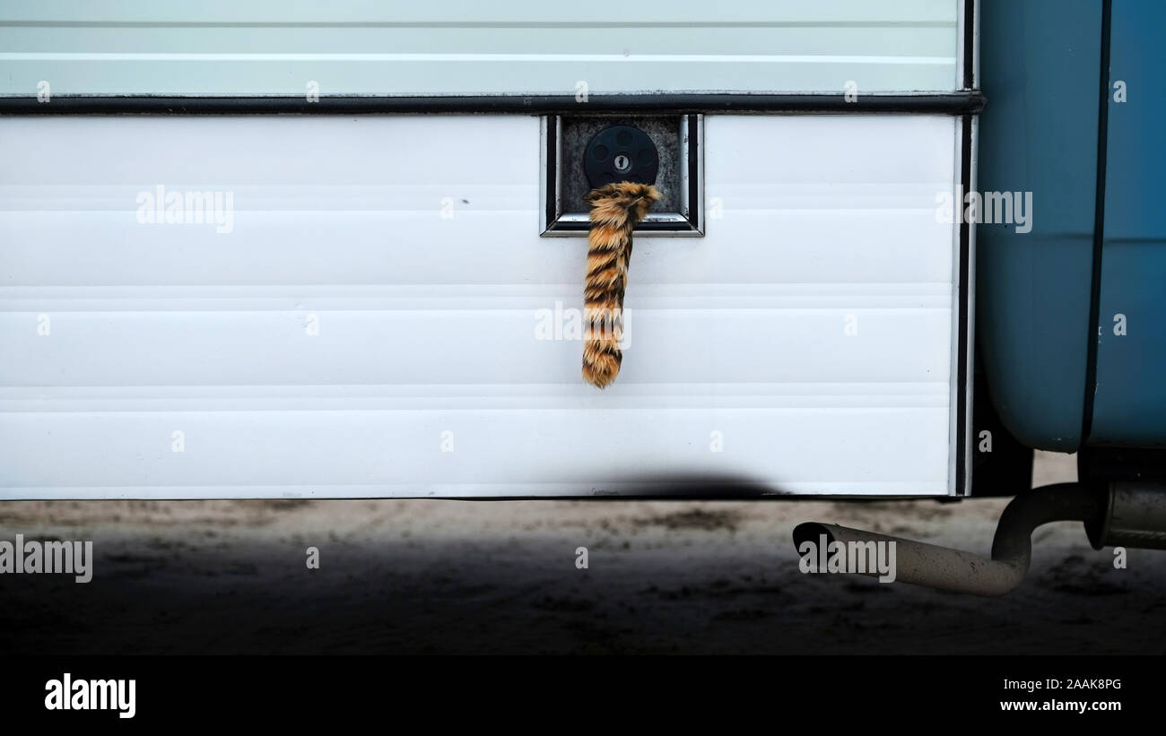 Une vieille fourgonnette affichant une queue de tigres de fourrure suspendue à son réservoir d'essence. Ces derniers étaient populaires dans les années 1960 à la suite d'une campagne publicitaire Esso. Banque D'Images