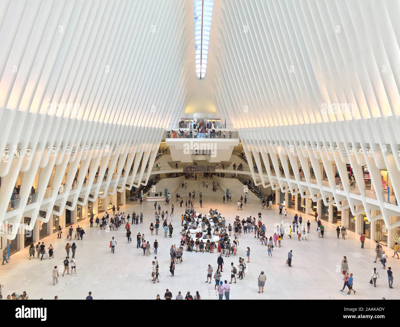 New York, USA - 20 août 2018 : Piscine vue sur World Trade Center Transportation Hub ou Oculus conçu par l'architecte Santiago Calatrava Banque D'Images