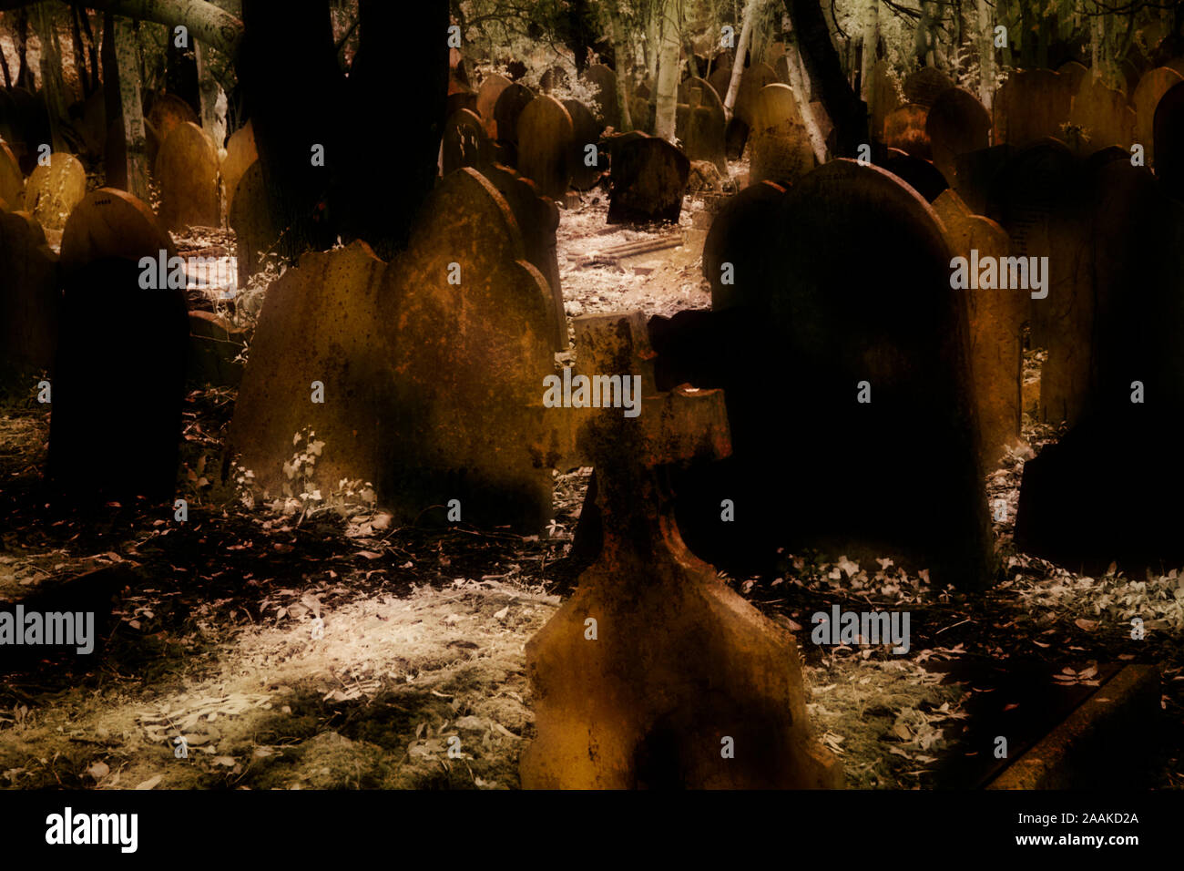 Image infrarouge - Cimetière de Highgate - ville de Londres - Angleterre - Royaume-Uni Banque D'Images