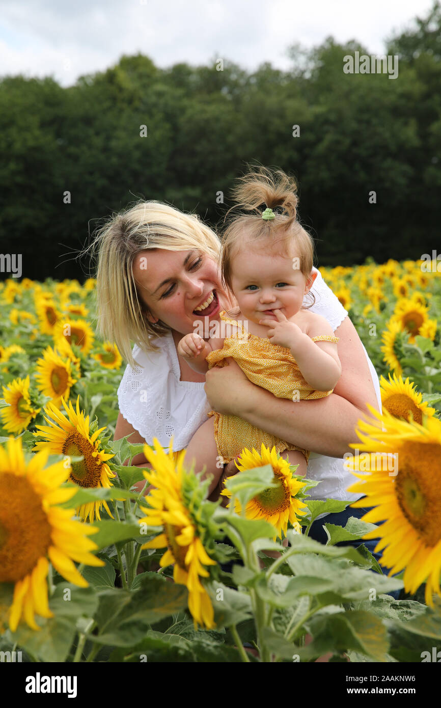 Mere Et Bebe Dans Un Champ De Tournesol France Photo Stock Alamy