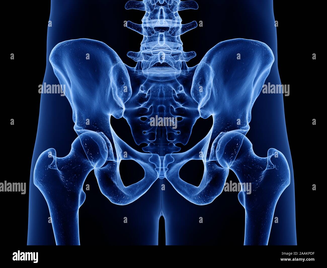 Os de la hanche, l'illustration de l'ordinateur. Banque D'Images
