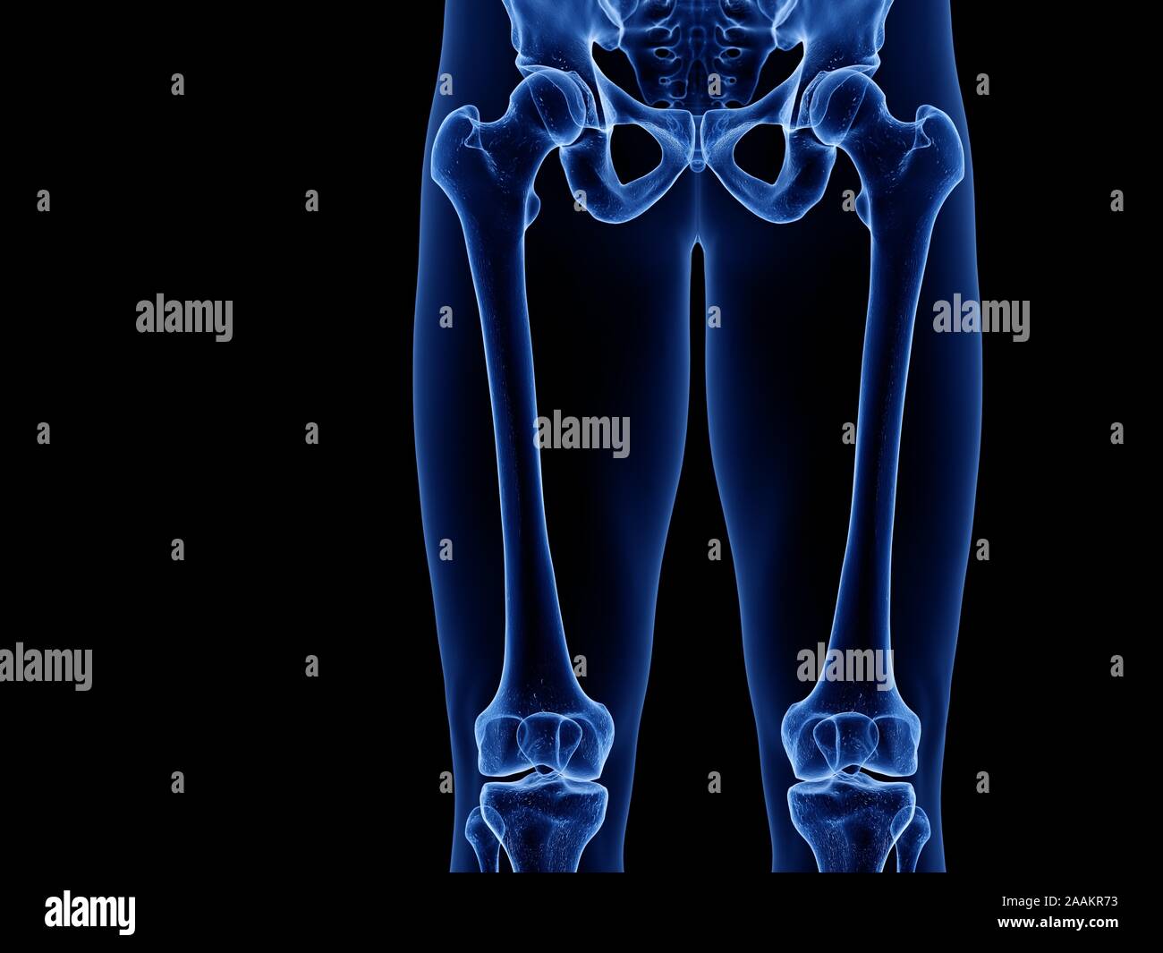 Haut de la jambe d'os, de l'illustration de l'ordinateur. Banque D'Images