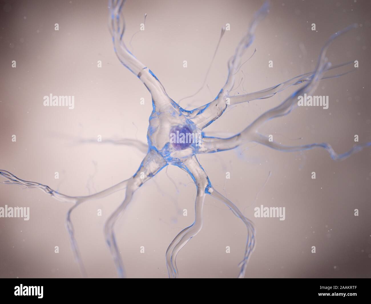 Cellule nerveuse, illustration de l'ordinateur. Banque D'Images