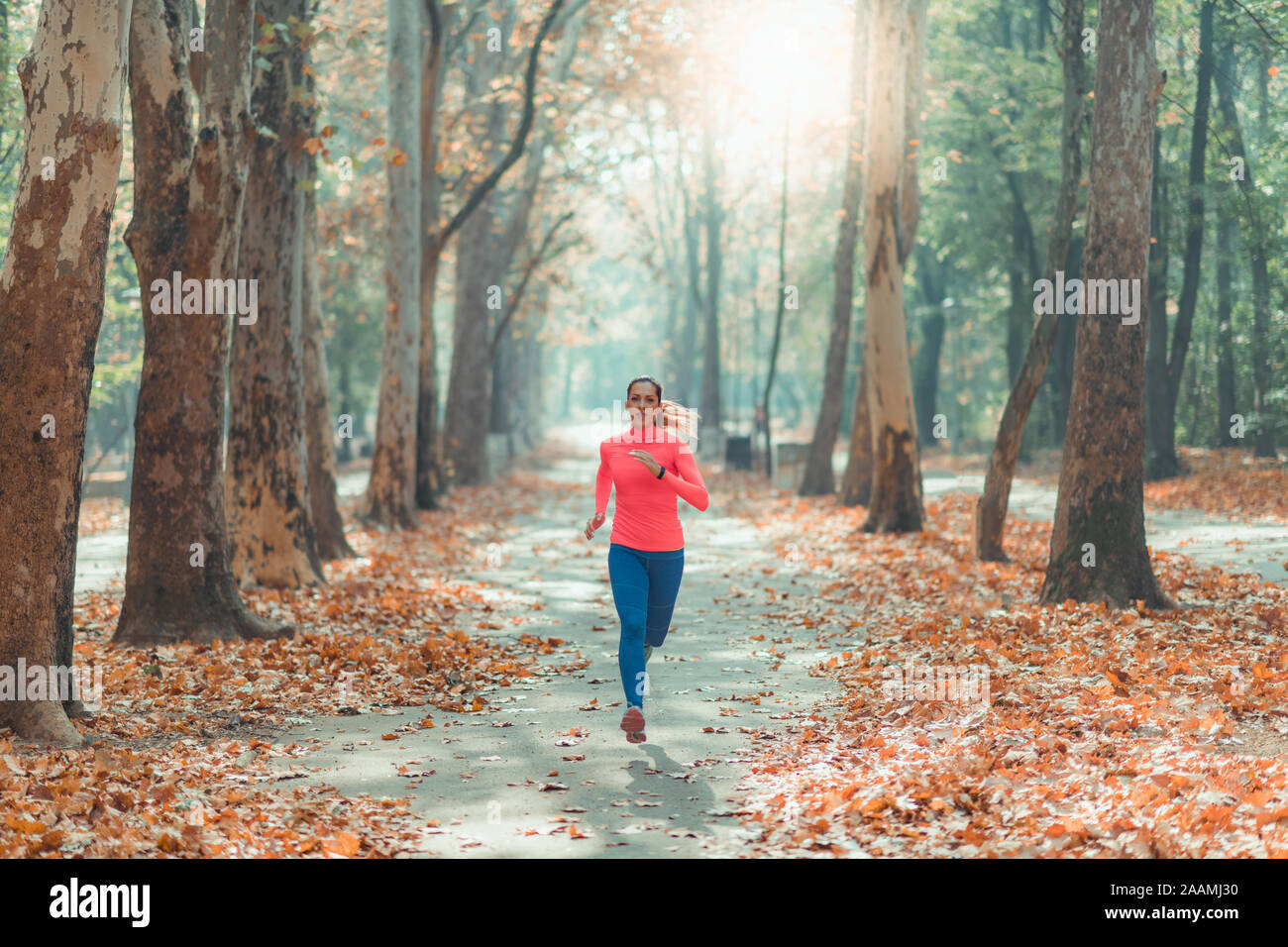 Woman jogging dans un parc Banque D'Images