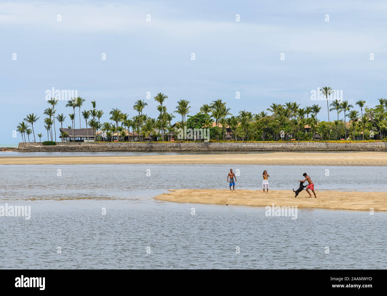 Un homme et sa famille de jouer avec leur chien sur une plage de sable. Porto Seguro, Bahia, Brésil, Amérique du Sud. Banque D'Images