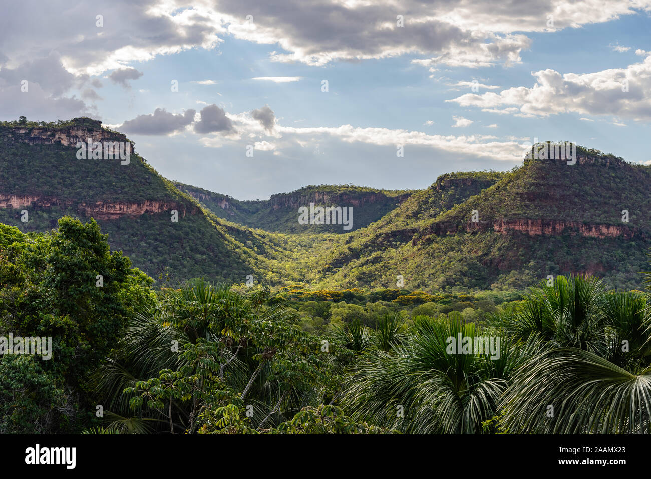 Chapada paysage, plateaux formés avec des couches de grès horizontaux coupés par des vallées. Bahia, Brésil, Amérique du Sud. Banque D'Images