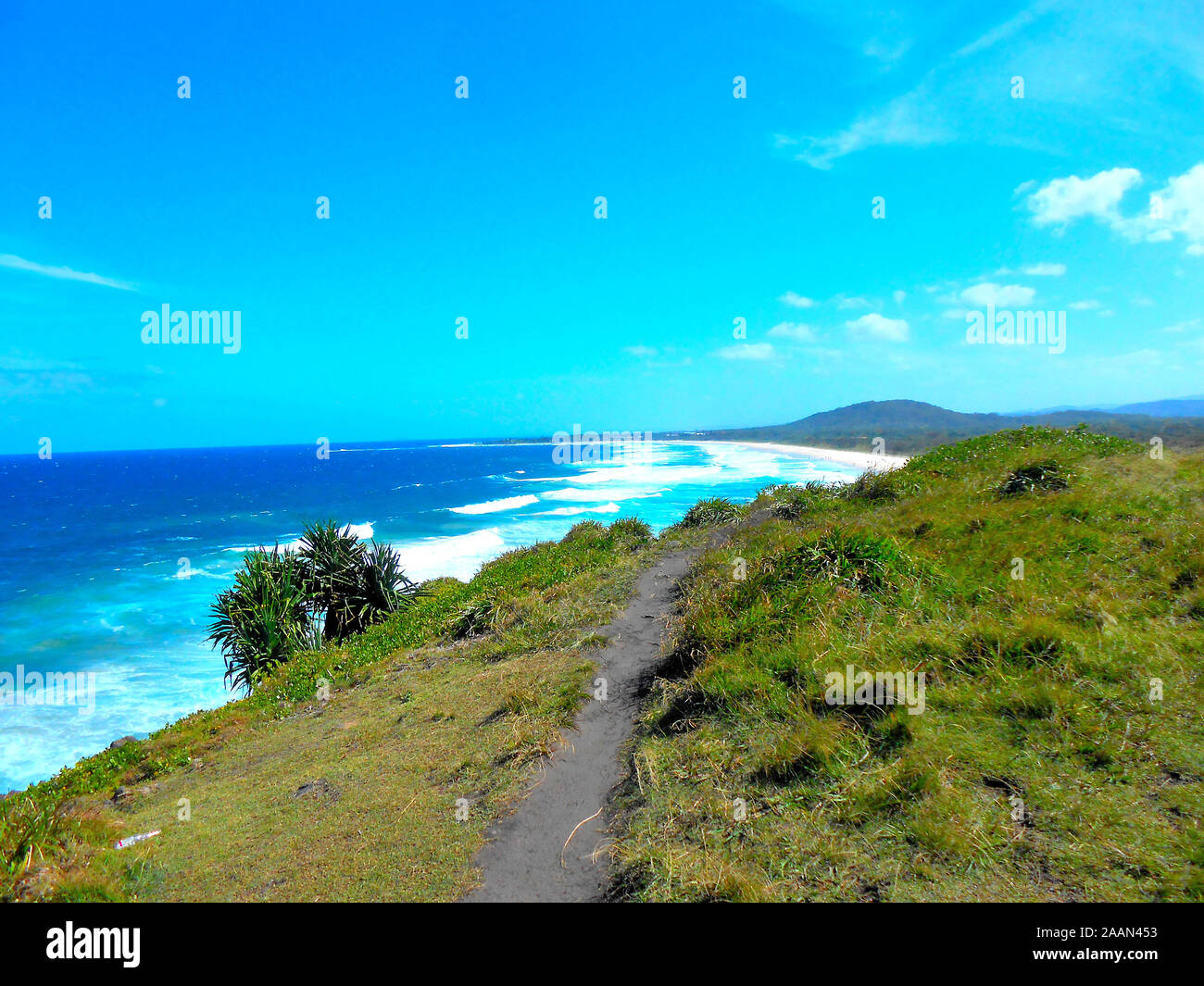 Vue sur la pointe de Cabarita New South Wales Australie Banque D'Images