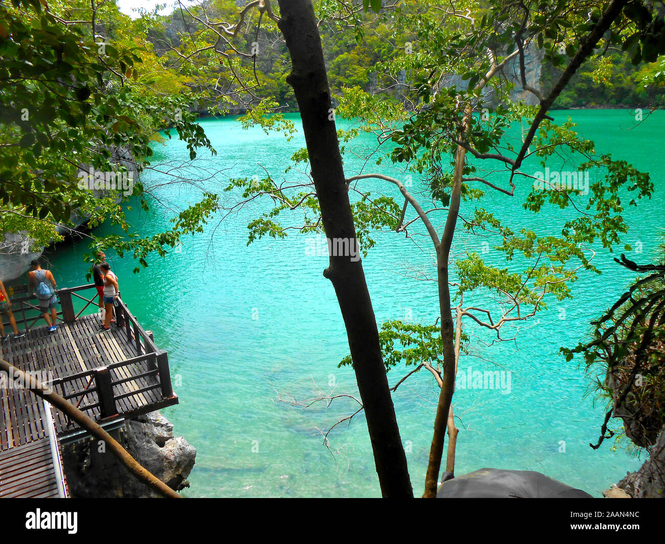 Le lac Emerald Mu Koh Ang Thong National Marine Park Banque D'Images