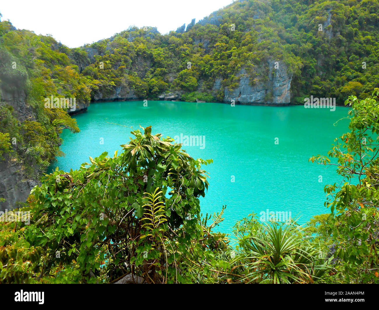Le lac Emerald Mu Koh Ang Thong National Marine Park Banque D'Images