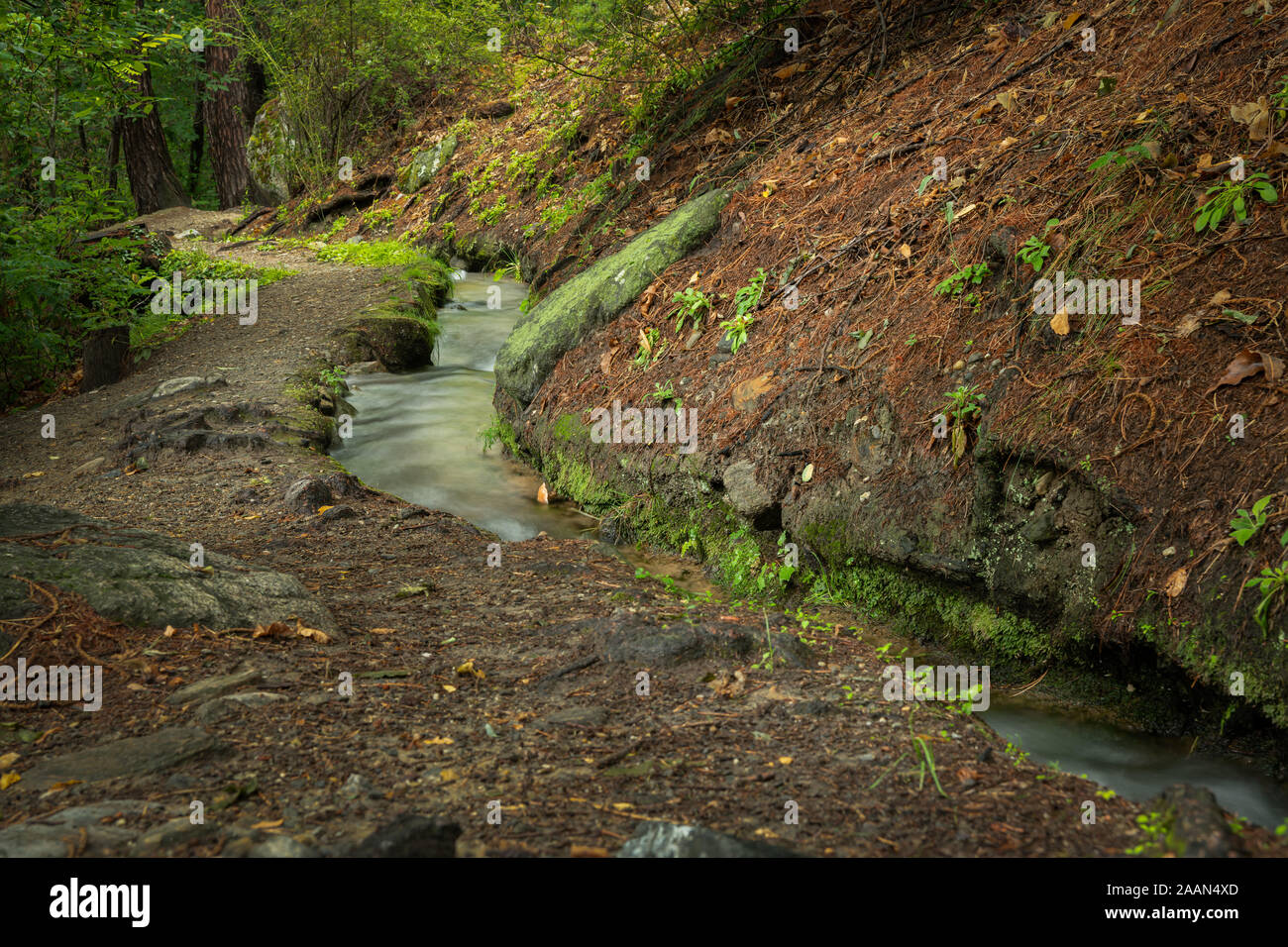 Canal d'irrigation dans les montagnes du Tyrol du Sud, Zaalwaal près de  Silandro (Italie Photo Stock - Alamy