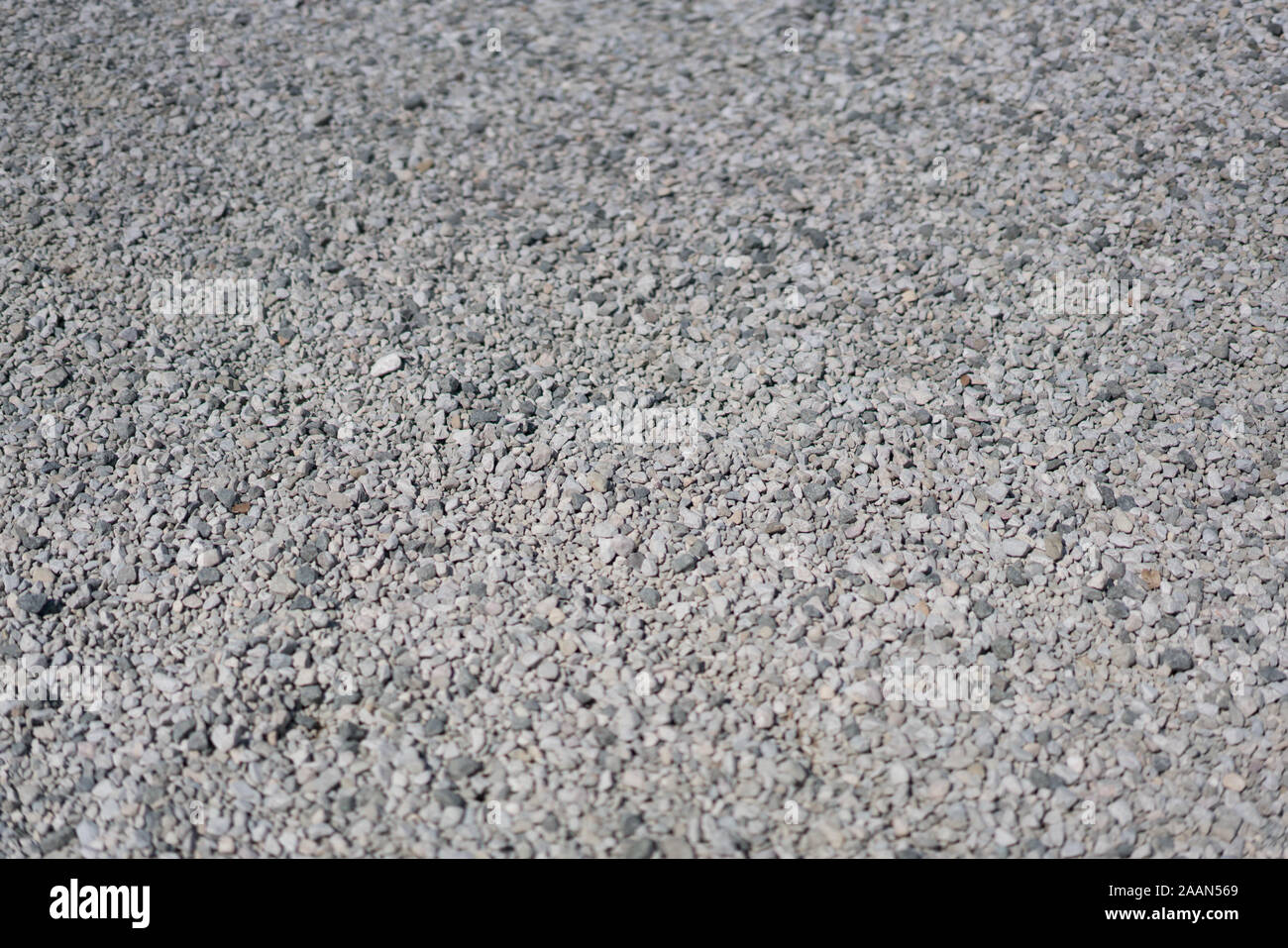 Arrière-plan de plancher de sable à l'état sauvage Banque D'Images