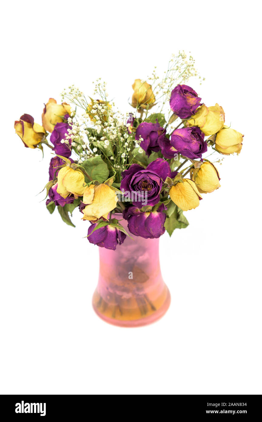 Un bouquet de roses fanées, sécher dans un vase Banque D'Images