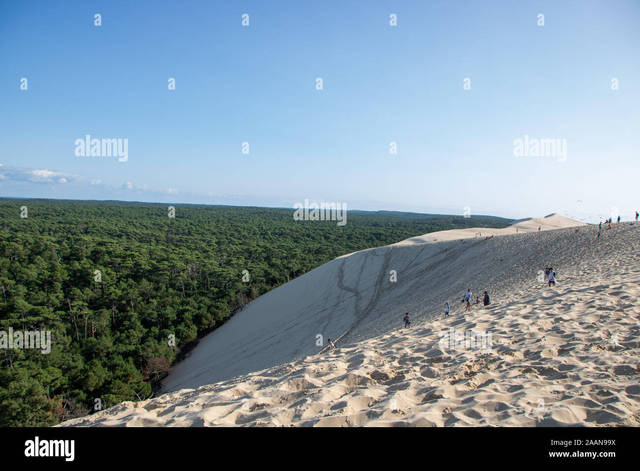 Vue sur la plage de sable de dune du Pilat et du bassin d'arcachon en france, aquitaine. Banque D'Images