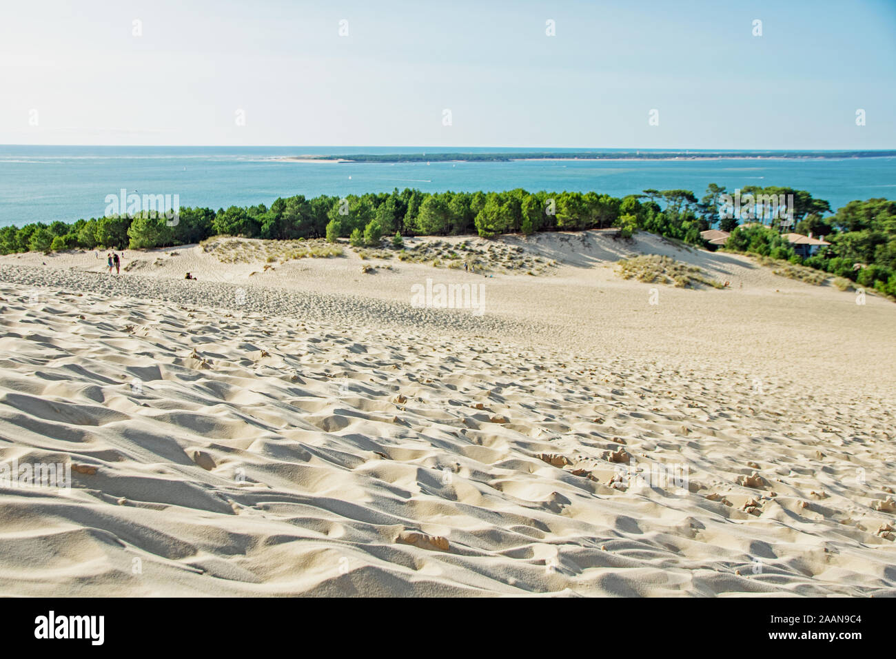 Vue sur la plage de sable de dune du Pilat et du bassin d'arcachon en france, aquitaine. Banque D'Images