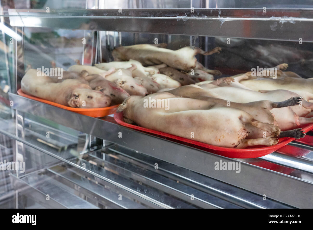 Le Cochon d'Inde (cuy) la viande est un plat traditionnelle