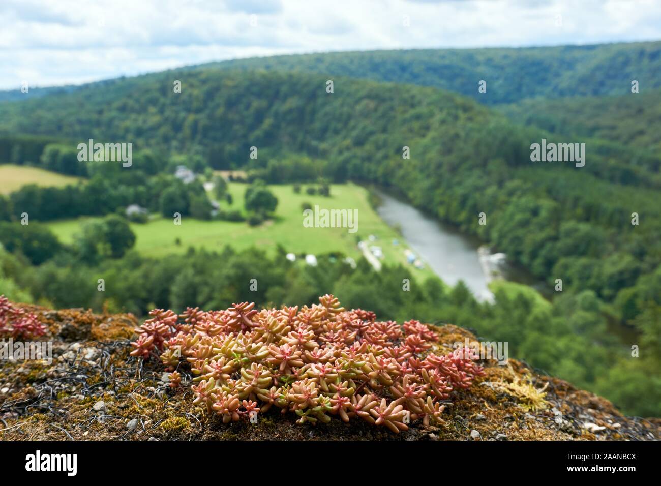 Belle vue sur la Semois dans les Ardennes belges à partir de la Croix de Chevalier de la tombe ou le Château d'Herbeumont. Banque D'Images