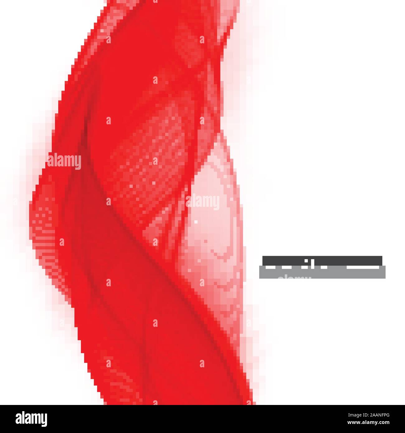 Fond blanc et rouge Banque d'images vectorielles - Alamy