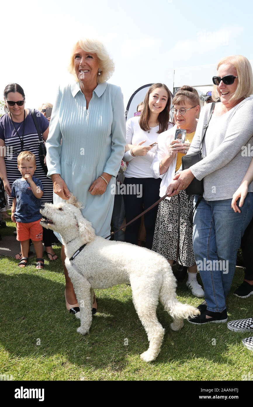 La duchesse de Cornouailles au cours d'une visite au marché des producteurs de Lincoln à Christchurch, le septième jour de la visite royale de Nouvelle-Zélande. PA Photo. Photo date : Samedi 23 Novembre, 2019. Voir PA story ROYALS Charles. Crédit photo doit se lire : Chris Jackson/PA Wire Banque D'Images