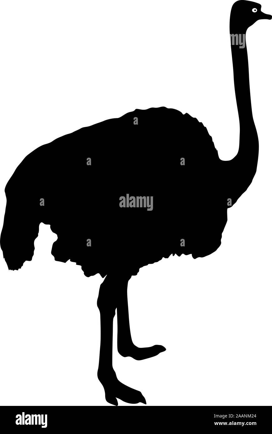 Autruche grand Silhouette debout sur un fond blanc. Illustration de Vecteur