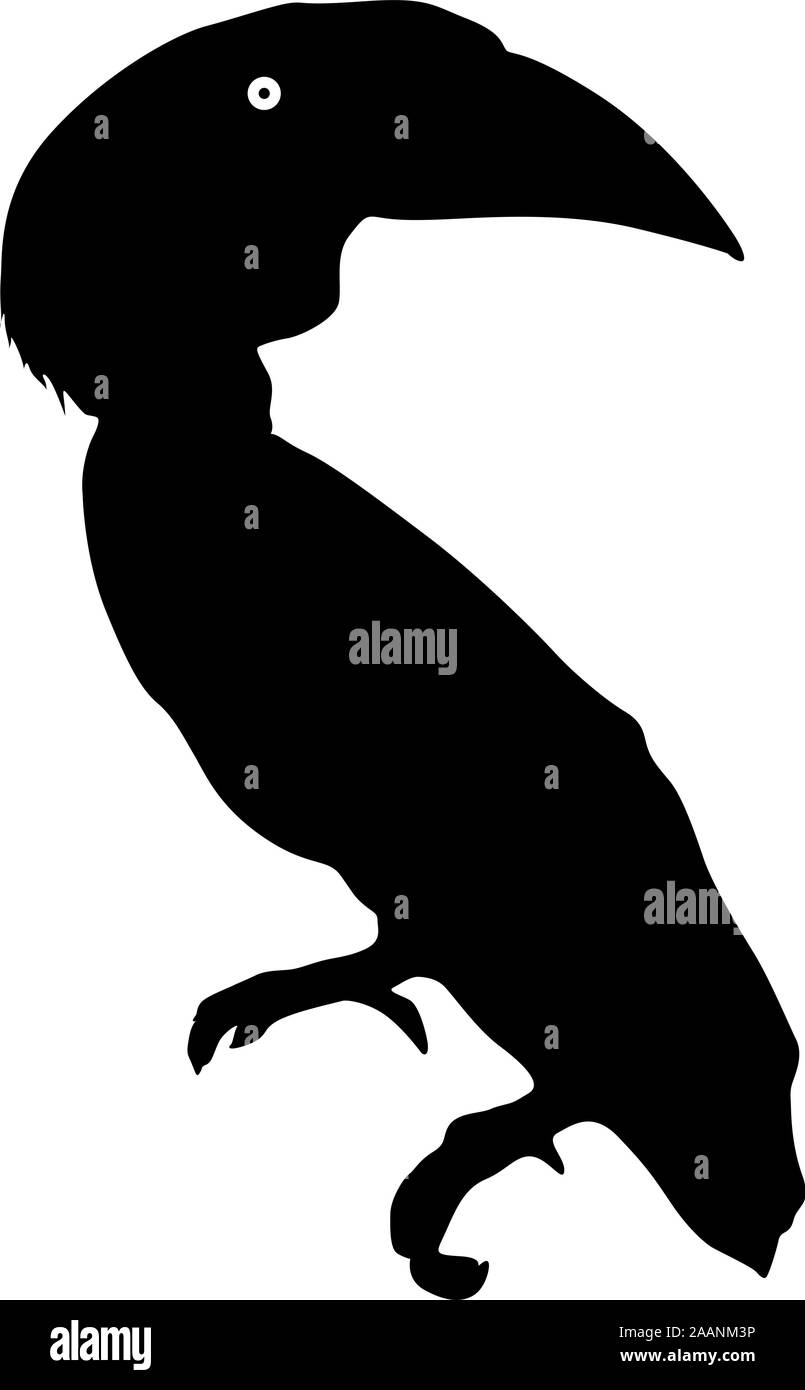 Silhouette de l'oiseau toucan sur un fond blanc. Illustration de Vecteur