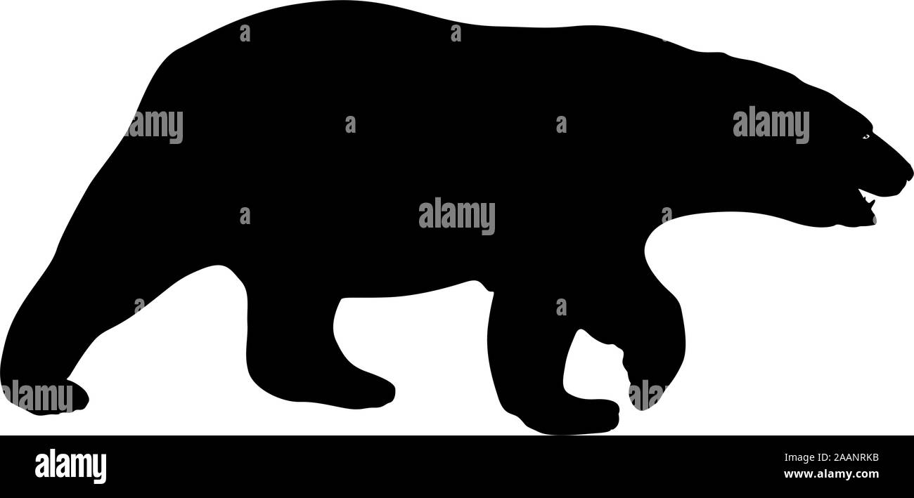 L'ours polaire Silhouette sur un fond blanc Image Vectorielle Stock - Alamy