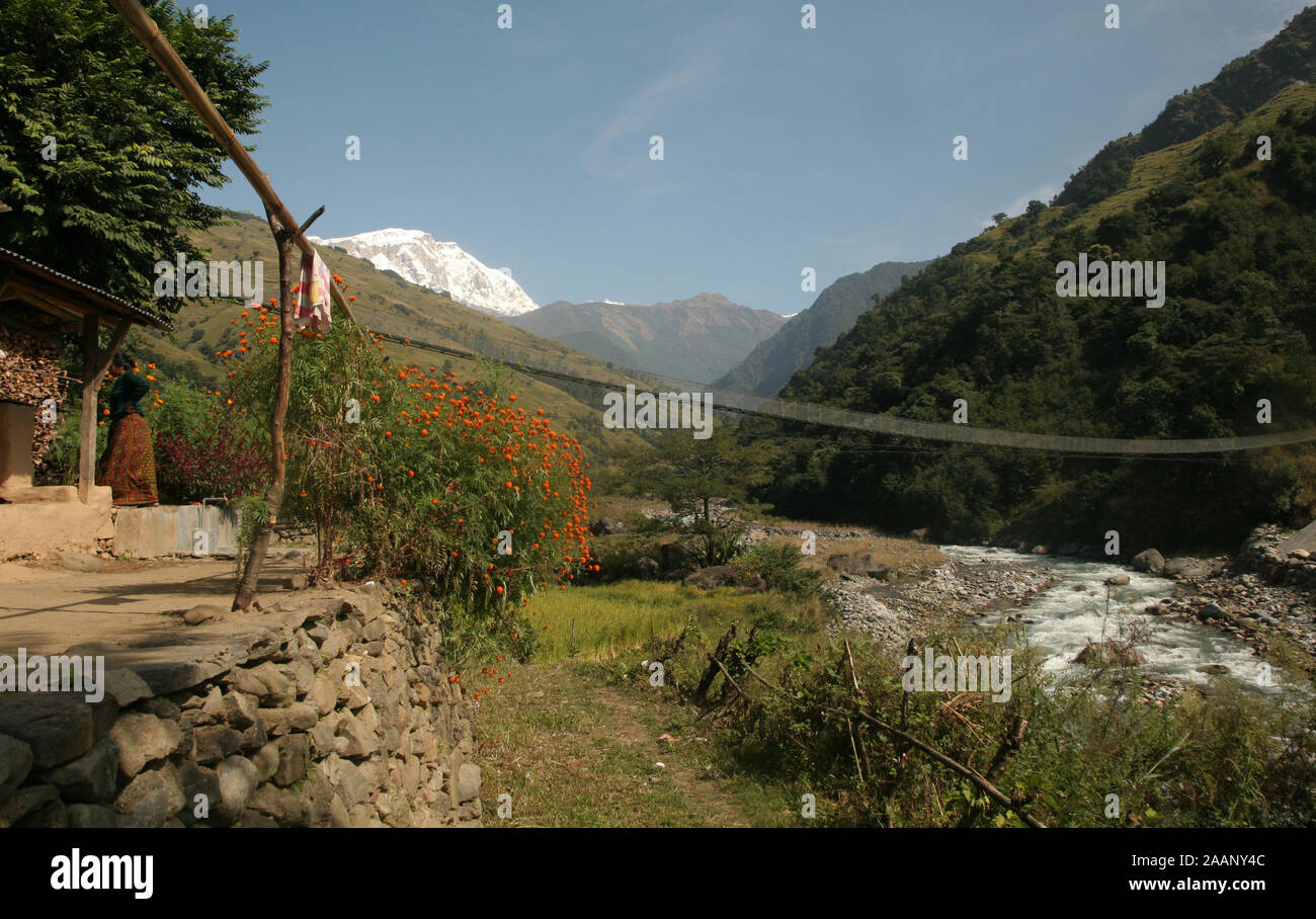 Madi passerelle rivière, avec l'himalaya Lamjung en arrière-plan. Région de l'Annapurna, Népal Banque D'Images