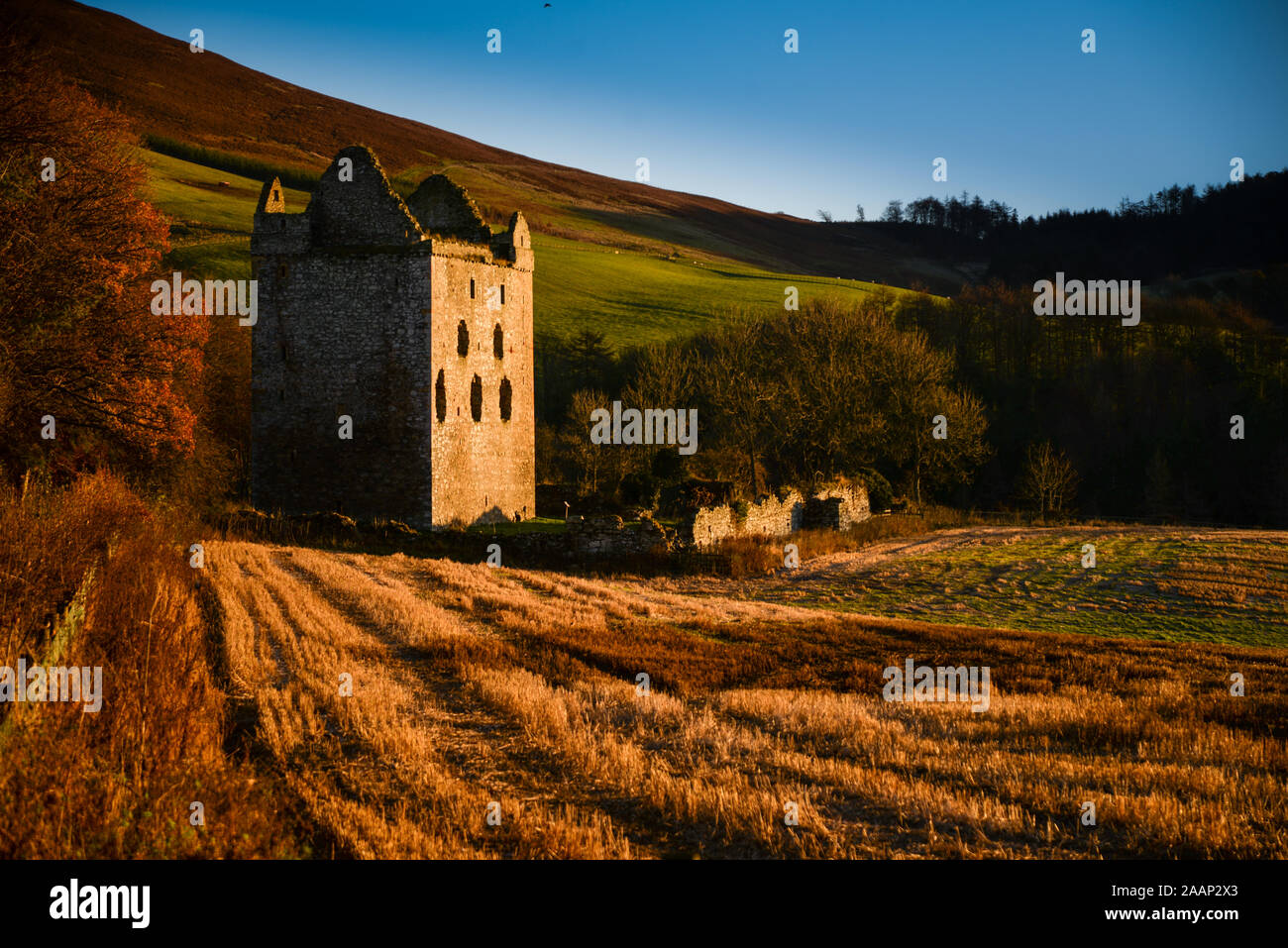 Les ruines de château de Newark, Selkirkshire dans les Scottish Borders Banque D'Images