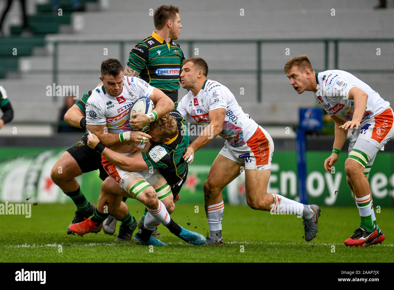 Treviso, Italie, 23 novembre 2019, s'attaquer sur Abraham steyn (Trévise) lors de Benetton Treviso vs Northampton Saints - Heineken Cup - Rugby Champions Crédit : LPS/Ettore Griffoni/Alamy Live News Banque D'Images