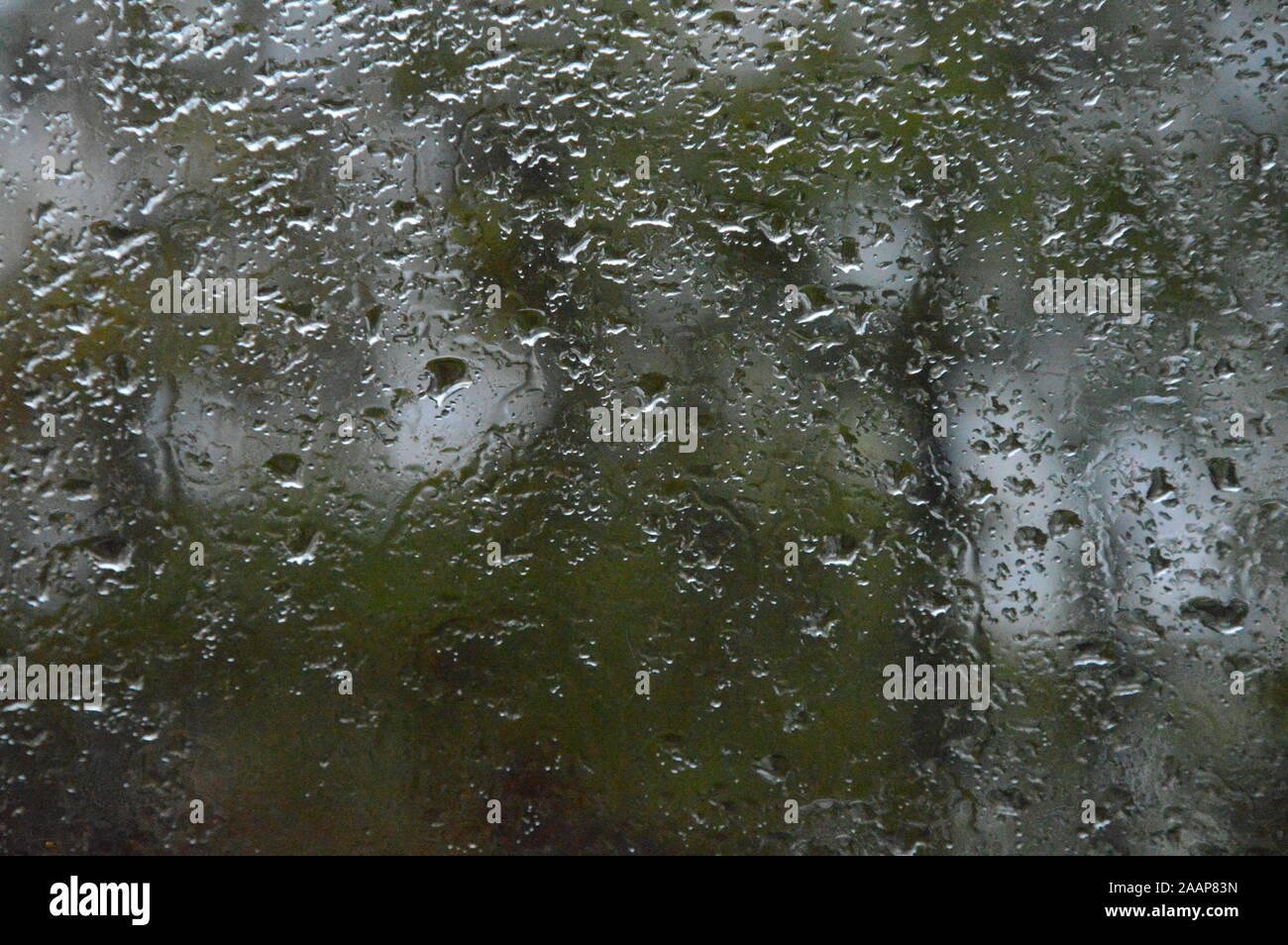 Gouttes de pluie sur la fenêtre avec l'arrière-plan des forêts Banque D'Images