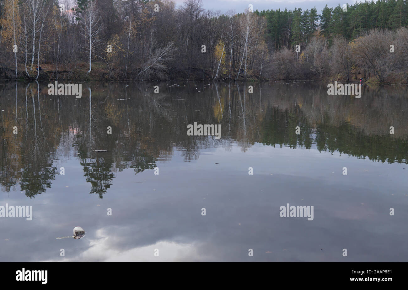 Les arbres d'automne et les nuages reflètent dans l'eau calme d'une forêt paisible étang Banque D'Images