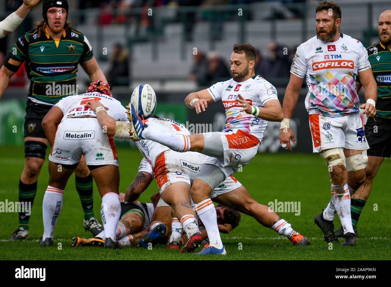 Treviso, Italie. 23 Nov, 2019. dewaldt duvenage (benetton treviso)au cours de Benetton Treviso vs Northampton Saints, Rugby Heineken Cup Champions à Trévise, en Italie, le 23 novembre 2019 - LPS/crédit : Ettore Ettore Griffoni Griffoni/LPS/ZUMA/Alamy Fil Live News Banque D'Images