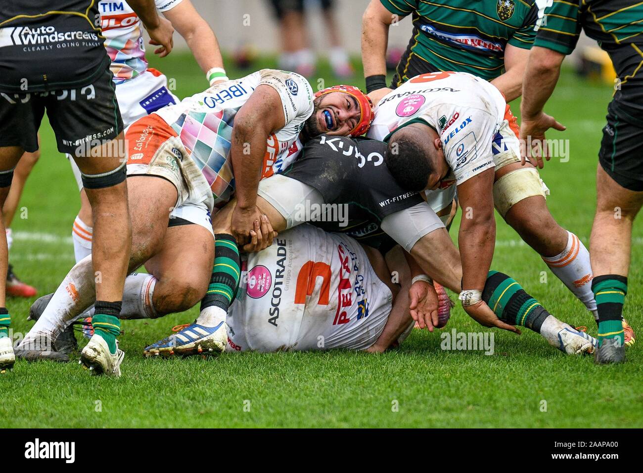 Treviso, Italie. 23 Nov, 2019. hame faiva (Trévise) lors de Benetton Treviso vs Northampton Saints, Rugby Heineken Cup Champions à Trévise, en Italie, le 23 novembre 2019 - LPS/crédit : Ettore Ettore Griffoni Griffoni/LPS/ZUMA/Alamy Fil Live News Banque D'Images