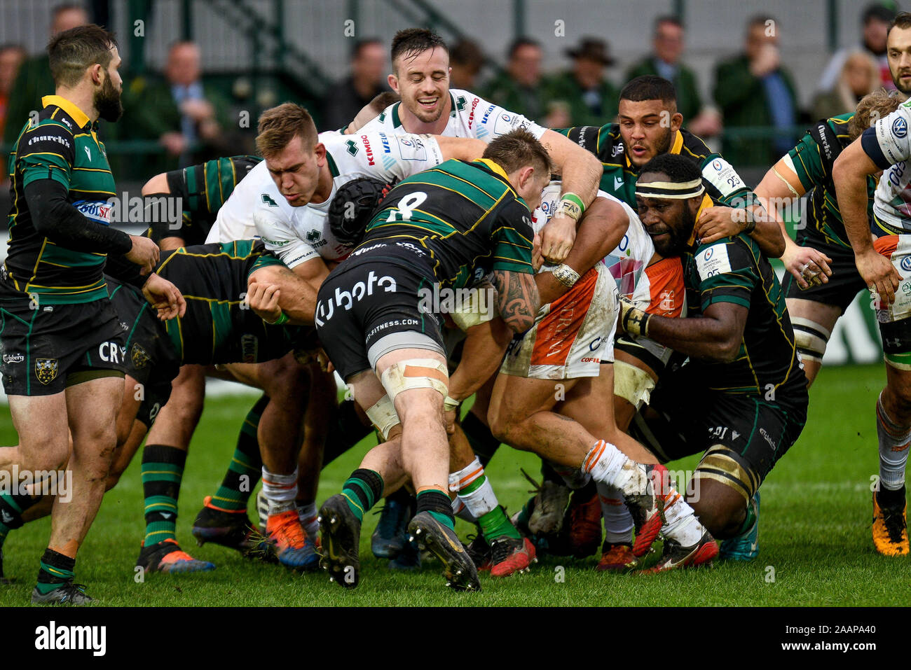 Treviso, Italie. 23 Nov, 2019 trevisoduring. maul BENETTON BENETTON Treviso vs Northampton Saints, Rugby Heineken Cup Champions à Trévise, en Italie, le 23 novembre 2019 - LPS/crédit : Ettore Ettore Griffoni Griffoni/LPS/ZUMA/Alamy Fil Live News Banque D'Images