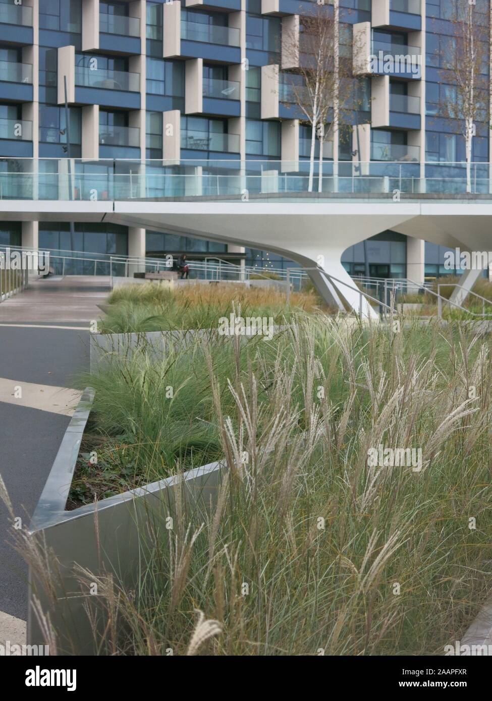 La nouvelle collectivité de la région de Riverside offre waterside vivant dans des appartements modernes avec une passerelle surélevée linéaire, l'aménagement paysager et la plantation. Banque D'Images