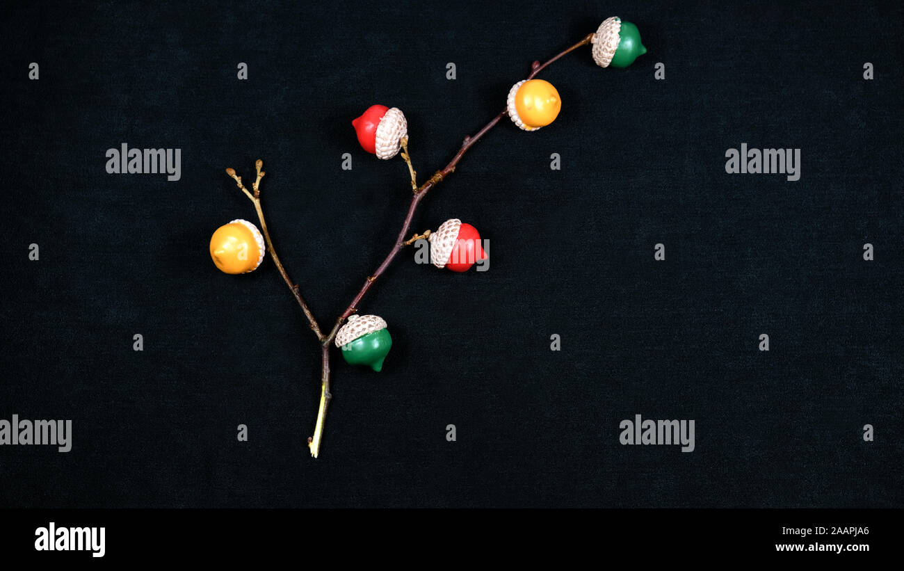 Les glands décoratifs sur la branche Banque D'Images